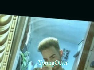YoungOtter