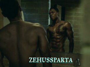 ZEHUS_SPARTA