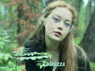 Zadnizza