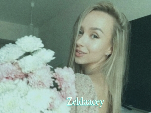 Zeldaacey