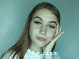 Zeldacannon
