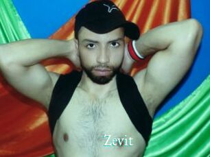 Zevit