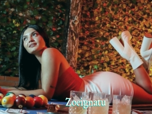 Zoeignatu